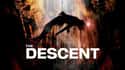 The Descent on Random Films Stephen King Has Awarded His Personal Stamp Of Approval