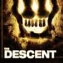 The Descent on Random Best Horror Movies of 21st Century