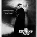 The Elephant Man on Random Best Movies Based On True Stories