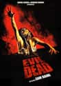 The Evil Dead on Random Best Horror Movies About Cults and Conspiracies
