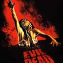 The Evil Dead on Random Best Zombie Movies On Netflix