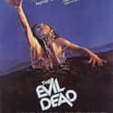 The Evil Dead on Random Best Horror Movies