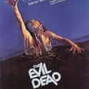 The Evil Dead on Random Best Zombie Movies
