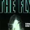 The Fly on Random Best Horror Movie Remakes