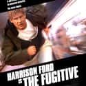 The Fugitive on Random Best Thriller Movies of 1990s