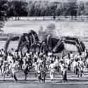 The Giant Spider Invasion on Random Worst Movies