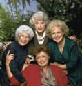 The Golden Girls on Random Shows You Most Want on Netflix Streaming