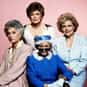 Bea Arthur, Betty White, Rue McClanahan   The Golden Girls is an American sitcom, created by Susan Harris, that originally aired on NBC from September 14, 1985, to May 9, 1992.