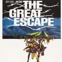 The Great Escape on Random Best Movies Based On True Stories