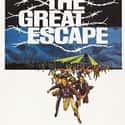 The Great Escape on Random Best Military Movies