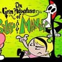 The Grim Adventures of Billy and Mandy on Random Best Animated Horror Series