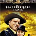 The Hallelujah Trail on Random Best Comedy Movies of 1960s