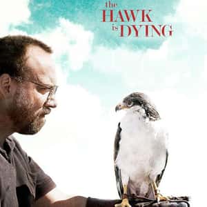 The Hawk Is Dying