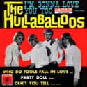 The Hullaballoos on Random Best British Invasion Bands/Artists