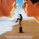 The Karate Kid on Random Best Family Movies Rated PG