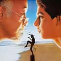 The Karate Kid on Random Best Action Movies of 1980s