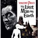 The Last Man on Earth on Random Best Zombie Movies