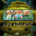 The Life Aquatic with Steve Zissou on Random Best Ensemble Comedies That Are Actually Pretty Smart