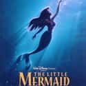 The Little Mermaid on Random Best Movies For 10-Year-Old Kids