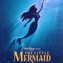 The Little Mermaid on Random Musical Movies With Best Songs