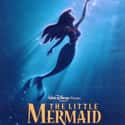 The Little Mermaid on Random Best Musical Movies