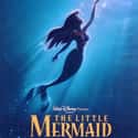 The Little Mermaid on Random Best Princess Movies