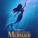 The Little Mermaid on Random Best Princess Movies