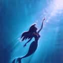The Little Mermaid on Random Greatest Movie Themes