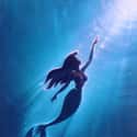 The Little Mermaid on Random Best Fantasy Movies of 1980s