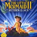 The Little Mermaid II: Return to the Sea on Random Best Princess Movies