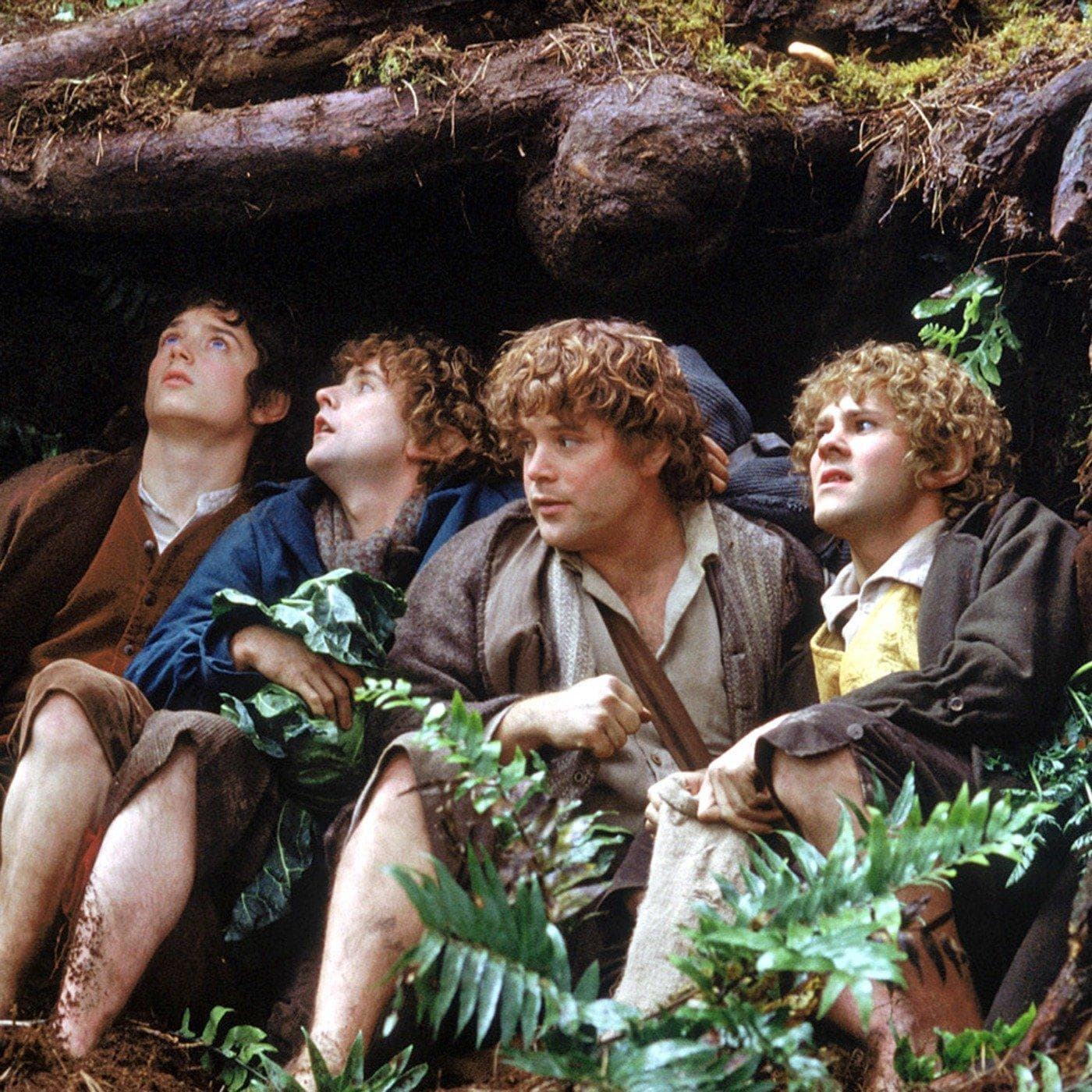 The Lord of the Rings: The Fellowship of the Ring