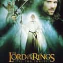The Lord of the Rings: The Two Towers on Random Best Adventure Movies