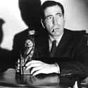 The Maltese Falcon on Random Behind the Scenes Stories of Famous Props