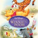 The Many Adventures of Winnie the Pooh on Random Best Disney Movies About Friendship