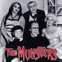 The Munsters on Random TV Shows Canceled Before Their Time