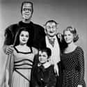 Fred Gwynne, Al Lewis, Yvonne De Carlo   The Munsters is an American television sitcom depicting the home life of a family of benign monsters. It stars Fred Gwynne as Herman Munster and Yvonne De Carlo as his wife, Lily Munster.