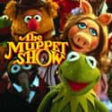 The Muppet Show on Random TV Shows Canceled Before Their Time