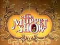 The Muppet Show on Random Best Puppet TV Shows