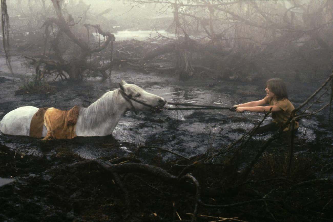 'The NeverEnding Story' - The Suicidal Horse