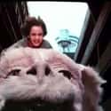 The NeverEnding Story on Random Movies With 'Happy Endings' That Were Actually Unspeakably Tragic