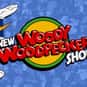 Woody Woodpecker, Buzz Buzzard