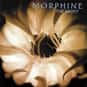 Morphine   Released Feb. 1, 2000: Mark Sandman died July 3, 1999