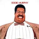 The Nutty Professor on Random Funniest Black Movies