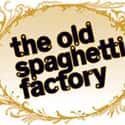 The Old Spaghetti Factory on Random Best Restaurant Chains for Lunch
