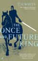 The Once and Future King on Random Best Fantasy Book Series