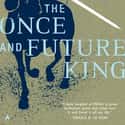 The Once and Future King on Random Best Fantasy Book Series