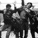 The Partisans on Random Best Oi! Punk Bands