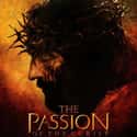 The Passion of the Christ on Random Best Movies You Never Want to Watch Again