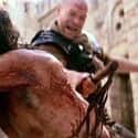 The Passion of the Christ on Random Stunts That Went Wrong And Still Made Final Cut