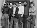 The Paul Butterfield Blues Band on Random Best Blues Rock Bands and Artists